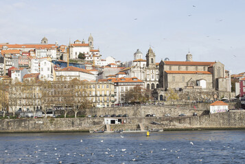 Obraz premium Buildings in downtown Porto in Portugal
