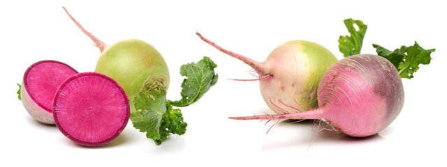 fresh radish isolated on white background 