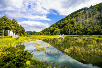 Fototapety na wymiar - Fototapeta24.pl