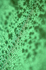 Tiny Bubbles on a Colour Background Condensation Green Steam Water