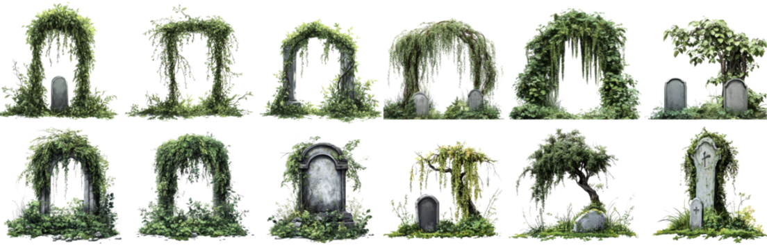 Ancient tombstones covered in lush, overgrown greenery