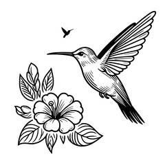 Fototapeta premium Hummingbird and flower illustration in black and white.