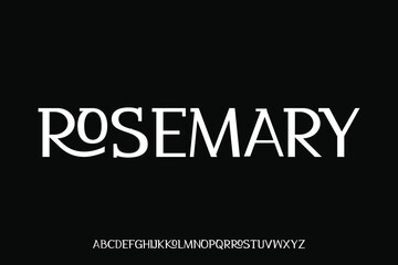 Display alphabet font vector design suitable for headline, poster, logo, magazine and many more