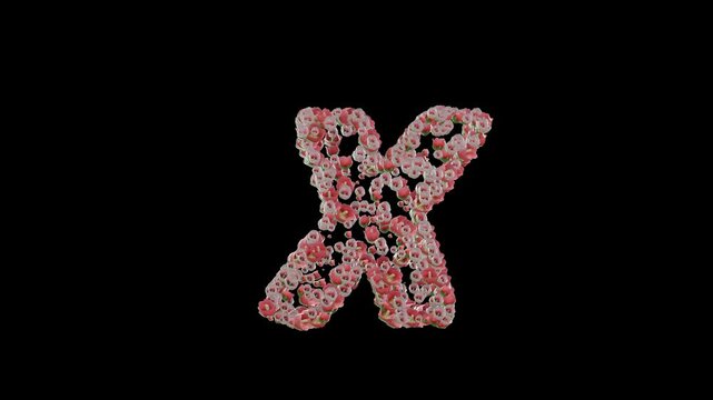 Ukrainian font with malva flowers on transparent background, part 4 letters ХхЦцЧчШшЩщьЮюЯя