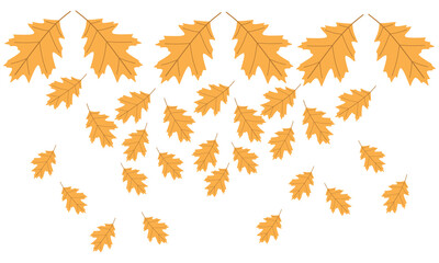 Autumn foliage. Falling against a white backdrop, it creates a serene and seasonal design that is perfect for fall-themed projects and backdrops.