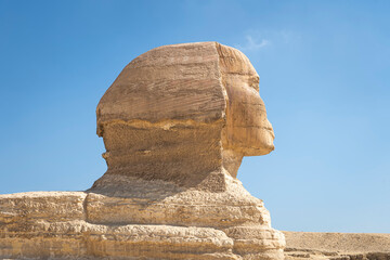 Sphinx Egypt portrait. Portrait of Great Sphinx of Egypt close. Egypt, Giza. side view