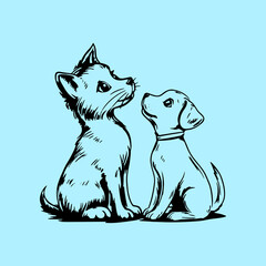 A black and white cat and dog are sitting next to each other 3