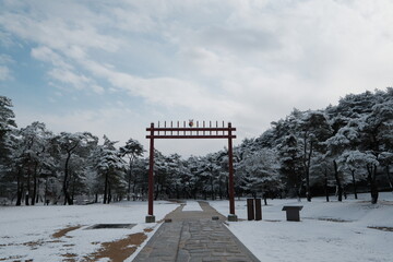 대한민국 전통의 건축물 한옥과 눈 쌓인 소나무에 상고대 함박눈이 어우러진 푸른 하늘의 하얀 겨울의 설경