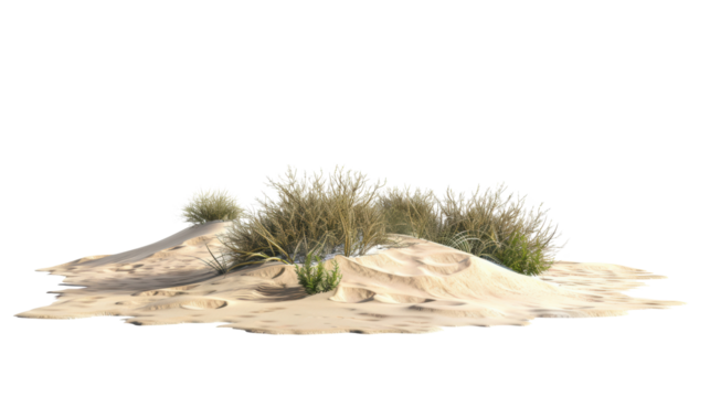An isolated desert island