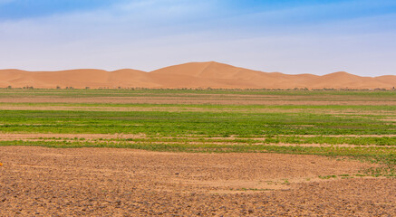Obraz premium View of the Magnificent Landscape of the Sahara Desert in Morocco