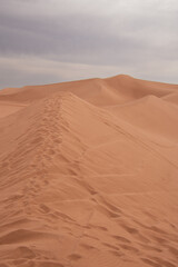 View of the Magnificent Landscape of the Sahara Desert in Morocco