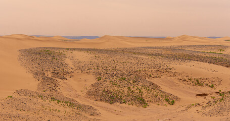 View of the Magnificent Landscape of the Sahara Desert in Morocco