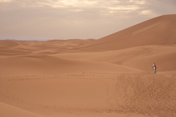 View of the Magnificent Landscape of the Sahara Desert in Morocco