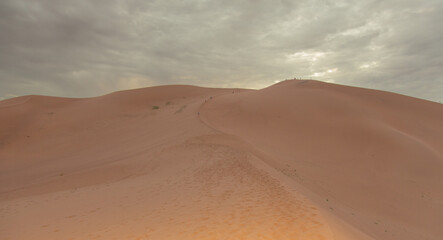 View of the Magnificent Landscape of the Sahara Desert in Morocco