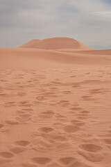 View of the Magnificent Landscape of the Sahara Desert in Morocco