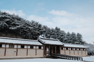 대한민국 전통의 건축물 한옥과 눈 쌓인 소나무에 상고대 함박눈이 어우러진 푸른 하늘의 하얀 겨울의 설경