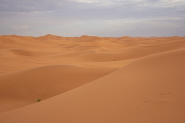 View of the Magnificent Landscape of the Sahara Desert in Morocco