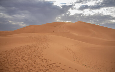 View of the Magnificent Landscape of the Sahara Desert in Morocco