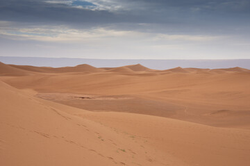 View of the Magnificent Landscape of the Sahara Desert in Morocco