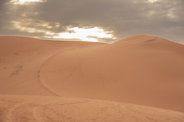 View of the Magnificent Landscape of the Sahara Desert in Morocco