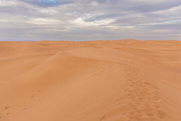 View of the Magnificent Landscape of the Sahara Desert in Morocco