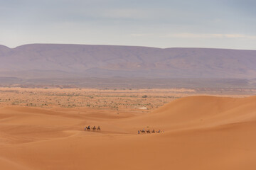 View of the Magnificent Landscape of the Sahara Desert in Morocco