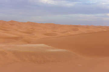 View of the Magnificent Landscape of the Sahara Desert in Morocco