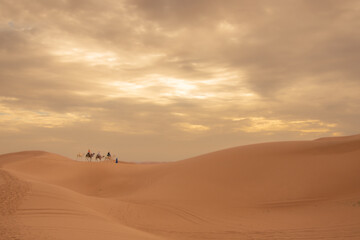 View of the Magnificent Landscape of the Sahara Desert in Morocco
