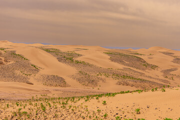 View of the Magnificent Landscape of the Sahara Desert in Morocco