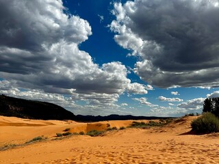 Mountains silhouetted in the distance (Coral Pink Sand Dunes State Park, Utah)