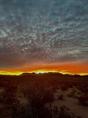 Sunrise in the Chisos Mountains (Big Bend National Park, Texas, USA)