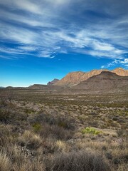 Beautiful desert scene in Big Bend National Park (Texas, USA)