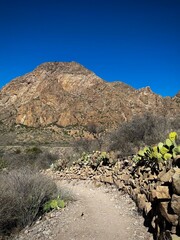 A beautiful arid landscape (Big Bend National Park, Texas, USA)