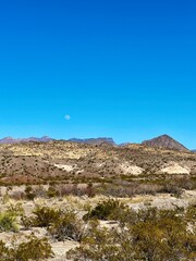 Fototapeta premium The moon over a striking portion of desert (Big Bend National Park, Texas, USA)