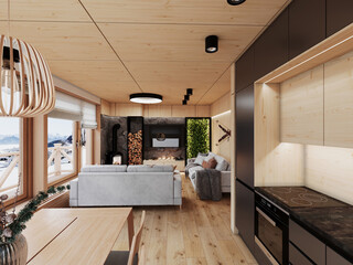 Modern mountain ski apartment.