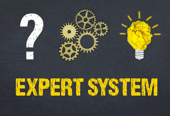 Expert System	