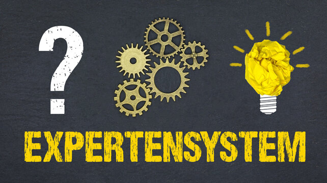 Expertensystem	
