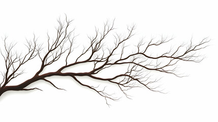 3D Illustration of a Bare Tree Branch, Isolated on White Background, Winter Season Imagery