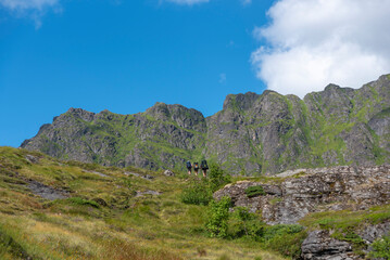 Fototapete bei efototapeten.de bestellen   