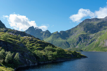 Fototapete bei efototapeten.de bestellen   