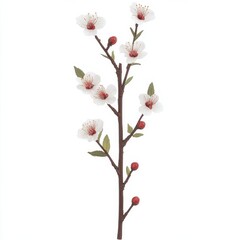Vector-style illustration showcasing a cherry blossom branch in full bloom against a clean white background featuring delicate flowers and ripe cherries