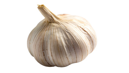 Obraz premium Isolated white garlic bulb, a healthy, organic ingredient for cooking and seasoning