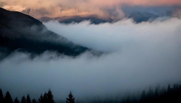 Elegant white clouds floating over the forest.