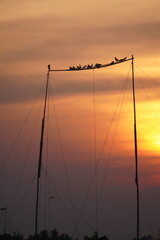 Some golden hour moment