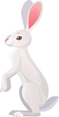 Cartoon white hare. Wild bunny color character