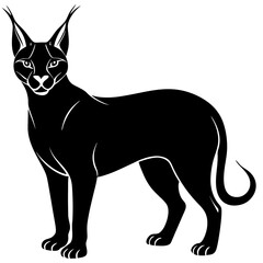 Caracal, A striking carnivorous wild animal, known for its distinctive ear tufts and sleek body, native to Africa and parts of Asia