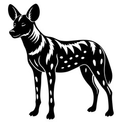 Explore the captivating world of the African Wild Dog, a carnivorous species known for its social structure and striking appearance. Perfect for wildlife enthusiasts and conservation advocates.