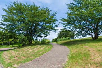 緑に囲まれた曲がり道と晴天の風景