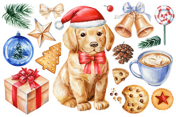 Christmas dog, golden retriever puppy in Santa hat, red bow. Cookies, pine branch, gift box, bells, ornaments and coffee