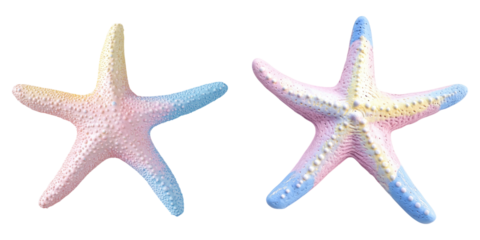 Pastel starfish isolated on transparent background, Set of